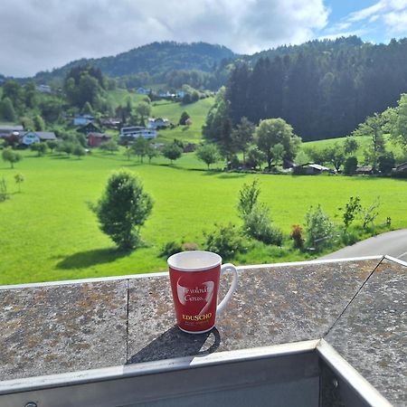 Wohnung Rheintal Im Alpenvorland Batschuns Exterior foto