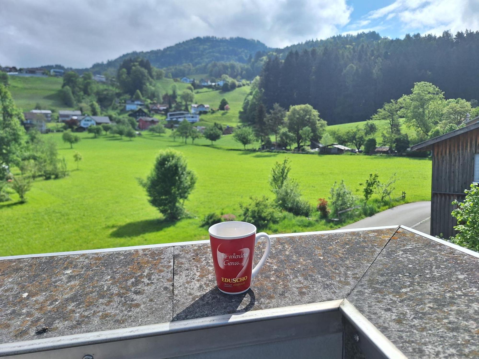 Wohnung Rheintal Im Alpenvorland Batschuns Exterior foto
